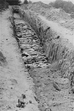 A mass grave at the Mauthausen concentration camp. [LCID: 04767]