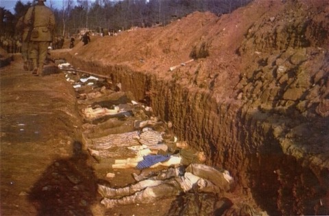 The bodies of prisoners killed in the Nordhausen concentration camp lie in a mass grave dug by German civilians under orders from ... [LCID: 83929]
