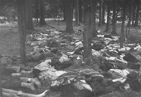 Corpses of prisoners killed in the Gunskirchen camp. [LCID: 12771]