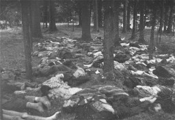 Corpses of prisoners killed in the Gunskirchen camp. Gunskirchen was one of the many subcamps of the Mauthausen camp. It was liberated by US forces in early May 1945. Gunskirchen, Austria, photo taken between May 6 and May 15, 1945.