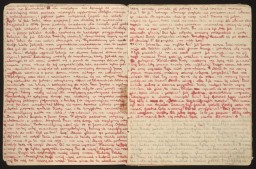 Pages from Stanislava Roztropowicz's Diary