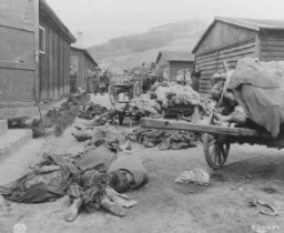 Cadavres découverts lorsque les troupes américaines libérèrent le camp de Gusen, un sous-camp du réseau de camps de concentration de Mauthausen. Autriche, après le 12 mai 1945.