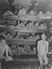 Prisioneiros liberados demonstram as condições de superlotação no campo de concentração de Buchenwald, Alemanha, 23 de abril de 1945.