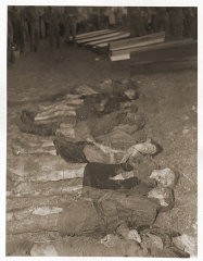 The bodies of Jewish women exhumed from a mass grave near Volary. The victims died at the end of a death march from Helmbrechts, a subcamp of Flossenbürg. Germans were forced to exhume them in order to give the victims proper burial. Volary, Czechoslovakia, May 11, 1945.