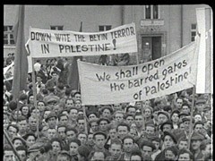 En juillet 1947, 4500 réfugiés juifs quittèrent des camps de personnes déplacées en Allemagne et embarquèrent sur l'"Exodus 1947" en France. Ils tentèrent de se rendre en Palestine même s'ils n'avaient reçu des autorités britanniques l'autorisation de débarquer. Les Britanniques interceptèrent le bateau et renvoyèrent de force les réfugiés juifs en Allemagne. Ces images montrent une manifestation de protestation dans le camp de personnes déplacées de Bergen-Belsen dans la zone d'occupation britannique de l'Allemagne, contre le traitement infligé aux passagers de l'"Exodus 1947"par les Britanniques. Le calvaire des passagers de l'"Exodus" devait devenir le symbole de la lutte en faveur de l'immigration juive en Palestine.