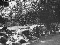 Soldiers from unidentified units of Einsatzgruppe C look through the possessions of Jews massacred at Babi Yar, a ravine near Kiev. Soviet Union, September 29–October 1, 1941.