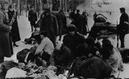 Alman polisi ve Ukraynalı işbirlikçiler, vuracakları Yahudi esirlerin elbiselerini çıkarttırıyor. Chernigov, Sovyetler Birliği, 1942.