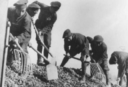 رجال سلوفاك يهود يعملون في بناء الطرق في أحد محتشدات العمل الشاق. تشيكوسلوفاكيا، عام 1941 تقريبًا.