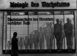 Los nazis usaban espacios públicos para promover sus ideas sobre la raza. La tabla que se muestra aquí tiene el título: "La biología del crecimiento" y tiene la leyenda "Etapas del crecimiento correspondientes a la raza nórdica". Alemania, antes de la guerra.