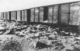 Rail cars discovered by Soviet forces and containing possessions taken from deportees. This abandoned train was on the way to Germany loaded with personal effects (in this case, pillows) taken from Auschwitz victims. Auschwitz, Poland, after January 27, 1945.
