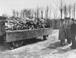 Amerikan askerî personeli Buchenwald toplama kampındaki cesetleri görüyor. Bu fotoğraf kampın dağıtılmasından sonra çekilmiştir. 18 Nisan 1945, Almanya.