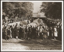 German civilians from Ludwigslust file past the corpses and graves of 200 prisoners from the nearby concentration camp of Wöbbelin. The US Army ordered the townspeople to bury the corpses on the palace grounds of the Archduke of Mecklenburg. Germany, May 7, 1945.
Outraged by what they found upon entering the camp, the ranking Allied commanders in the area forced civilians from the nearby towns of Schwerin, Hagenow, and Ludwigslust to view the concentration camp and then bury the bodies of prisoners in their towns. 