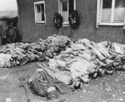 The bodies of former prisoners are stacked outside the crematorium in the newly liberated Buchenwald concentration camp. Buchenwald, Germany, April 23, 1945.
This image is among the commonly reproduced and distributed, and often extremely graphic, images of liberation. These photographs provided powerful documentation of the crimes of the Nazi era. 