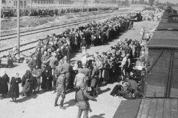 La selección de judíos húngaros en el campo de exterminio de Auschwitz-Birkenau, mayo de 1944.