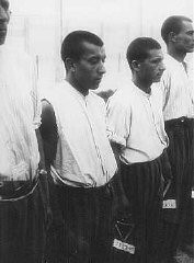 Roma (cigány) foglyok sorakoznak névsorolvasásra a dachaui koncentrációs táborban. Németország, 1938. június 20.