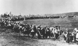A column of refugees in the Soviet Union, following the German invasion of Soviet territory on June 22, 1941. [LCID: 03181]