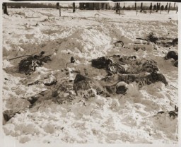 Bodies of US soldiers killed by Waffen SS troops during the Malmedy Massacre on December 17, 1944. Photograph taken in January 1945. 