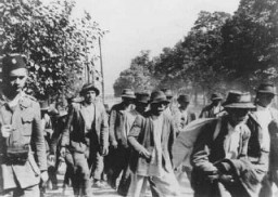 Serbs and Roma (Gypsies) who have been rounded up for deportation are marched to the Jasenovac concentration camp under Ustasa guard. Yugoslavia, 1942–43.