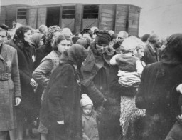 ينزل يهود من  روس الكاربات من قطار الترحيل ويتجمعون على المنحدر في مركز القتل في أوشفيتز بيركيناو في بولندا المحتلة. مايو 1944.