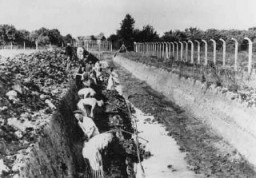 Les prisonniers condamnés au travail forcé construisirent le canal Dove-Elbe. Camp de concentration de Neuengamme, Allemagne, 1941-1942.