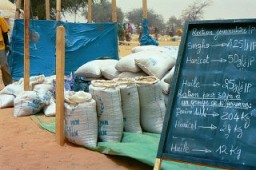 Sudan'a komşu Darfur bölgesindeki mülteciler için Doğu Çad'daki mülteci kampına yardım getirilirken. Mayıs 2004'te, Müze Vicdanî Komitesi Personel Müdürü Jerry Fowler karşılaştıkları soykırım şiddeti ve çöle götürülme konusunda mültecilerin ifadelerini ilk ağızdan dinlemek için ziyarette bulundu.