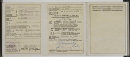 Reverse side of a military entry permit allowing Jadwiga Dzido to travel through occupied Germany to appear as a witness in the Medical Case trial at Nuremberg. 1946.