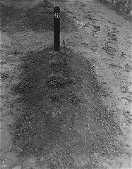 Vista de una de las fosas comunes del Instituto de Hadamar. Esta fotografía fue tomada por un fotógrafo militar estadounidense poco después de la liberación. Alemania, 5 de abril de 1945.