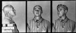 동성애자로 기소되어 1941년 6월 6일 아우슈비츠 집단 수용소에 도착한 수감자의 증명 사진. 이 사람은 1년 후에 사망했다. 폴란드, 아우슈비츠.