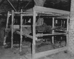 Sleeping quarters in Wöbbelin, a subcamp of Neuengamme concentration camp. This photograph was taken upon the liberation of the camp by US forces. Germany, May 5, 1945.