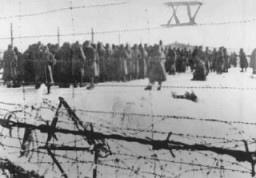 Photograph from a series taken by a guard in the Soviet prisoner-of-war camp of Belzen bei Bergen, and numbered in Roman numerals by the American officer, Lt. van Otten. The camp held approximately 10,000 POWs, most of whom came from Fallingbostel, 10 km away. When they fell ill, they were marched to Belsen. At Belsen, they were starved, often given only a soup made of field beets. This photo shows Soviet POWs assembled at the camp. Germany, 1941–45.
Second only to the Jews, Soviet prisoners of war were the largest group of victims of Nazi racial policy.
