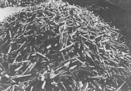 Escovas de cabelo das vítimas, encontradas logo após a libertação do campo de Auschwitz. Polônia, depois de 27 de janeiro de 1945.