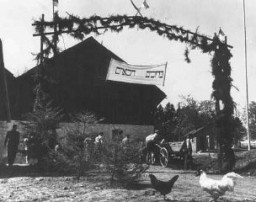 Bannière de bienvenue au-dessus de l'entrée du kibboutz-hachshara de Buchenwald (coopérative agricole sioniste).