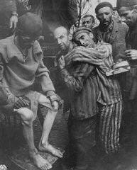 Anciens détenus de Wöbbelin, un sous-camp de Neuengamme, emmenés à un hôpital pour y recevoir des soins médicaux. Wöbbelin, Allemagne, 4 mai 1945.