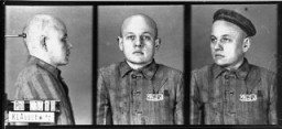 동성애자로 기소되어 아우슈비츠 집단 수용소에 도착한 수감자의 증명 사진이다. 폴란드, 아우슈비츠, 1940년과 1945년 사이.