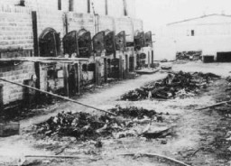 Restes carbonisés de cadavres près des fours crématoires dans le camp de Majdanek, après la libération. Pologne, après le 22 juillet 1944.