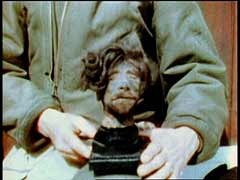 US forces liberated the Buchenwald concentration camp on April 11, 1945. This footage records examples of Nazi atrocities (shrunken head, pieces of tattooed human skin, preserved skull and organs) discovered by the liberating troops.
