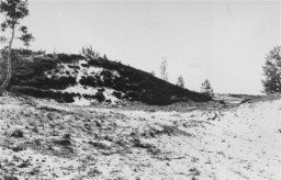 Site where members of Einsatzgruppe A and Estonian collaborators carried out a mass execution of Jews in September 1941. Kalevi-Liiva, Estonia, after September 1944.