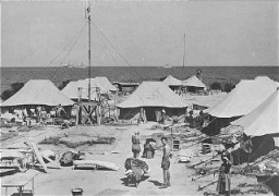 L’un des camps de tentes ayant servi à la détention des personnes juives déplacées qui s’étaient vu refuser l’entrer en Palestine par les Britanniques. Chypre, août 1946-février 1949.