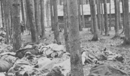 Corpses of victims of the Gunskirchen subcamp of the Mauthausen concentration camp. Austria, after May 5, 1945.