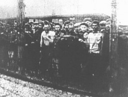 Prisioneros de guerra soviéticos, sobrevivientes del campo de Majdanek, en el momento de liberación del campo. Polonia, julio de 1944.