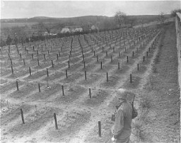 A US Army soldier views the cemetery at Hadamar, where victims of the Nazi euthanasia program were buried in mass graves. This photograph was taken by an American military photographer soon after the liberation. Germany, April 5, 1945.