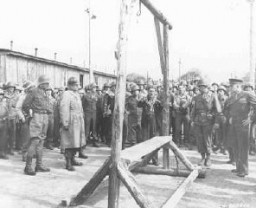 A Dutch survivor of the Ohrdruf camp shows the camp's gallows, which the Germans used to execute prisoners, to US forces (including Generals Eisenhower, Bradley, and Patton). Germany, April 12, 1945.
