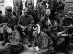 Раненые советские военнопленные. Германская армия обеспечивала военнопленным лишь минимальный медицинский уход; пленным советским врачам разрешалось лечить своих раненых, используя только те медикаменты и принадлежности, которые были у них при себе. Барановичи, Польша, во время войны.