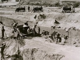 Принудительные работы в каменоломне концентрационного лагеря Маутхаузен. Австрия, дата неизвестна.