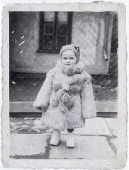 Portrait of three-year-old Estera Horn wrapped in a fur coat. Chelm, Poland, ca. 1940.
Estera was born in January 1937. Her father was killed soon after the Germans invaded Poland. Estera and her mother, Perla Horn, were forced into the ghetto in Chelm. At the end of 1942, during the liquidation of the ghetto, Perla and Estera escaped from the ghetto. They hid in nearby villages. In late 1943, Perla asked a family in Plawnice to take care of Estera. Perla tried to hide with a group of Jews in the nearby forest, but they were discovered by Germans and killed. In the spring of 1944, the family began looking for a new home for Estera (who had been given the name Marysia). She was placed in Warsaw, and eventually transferred to an orphanage in Krakow.