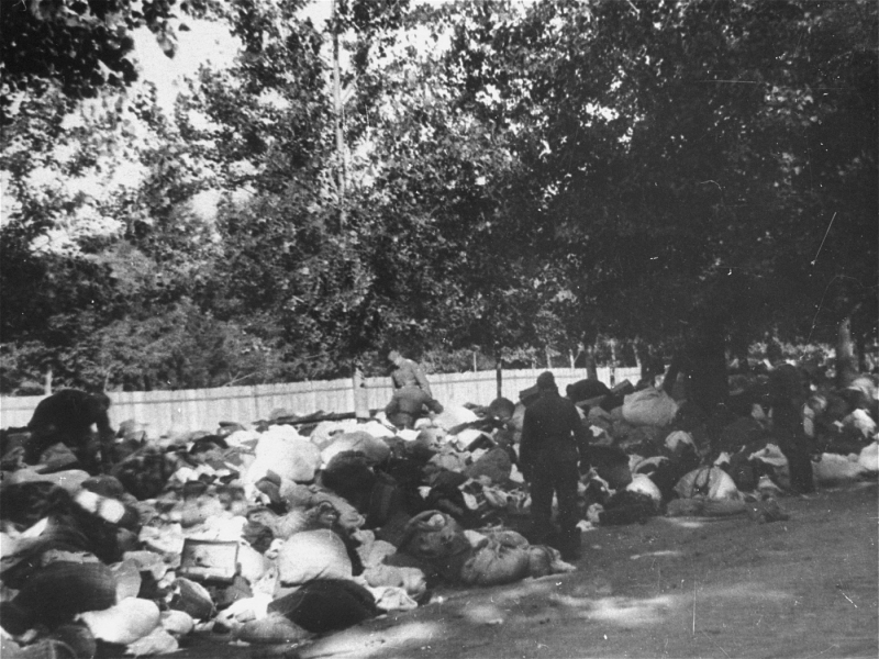 Soldiers from unidentified units of Einsatzgruppe (mobile killing squad) C look through the possessions of Jews massacred at Babi ...