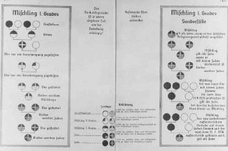 Náci faji diagramok. Németország, 1935 és 1945 között.