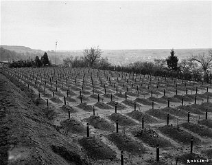 Pekuburan di Hadamar tempat korban pembantaian eutanasia di Hadamar dikubur.