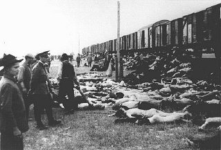 During the deportation of survivors of a pogrom in Iasi to Calarasi or Podul Iloaei, Romanians halt a train to throw off the bodies ...